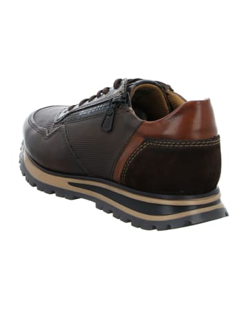 Bugatti Sportliche Schnürschuhe in Braun