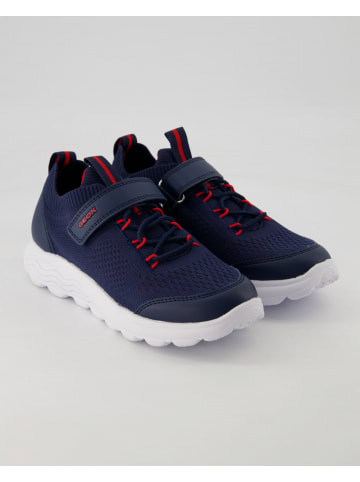 Geox Klettschuhe in Blau