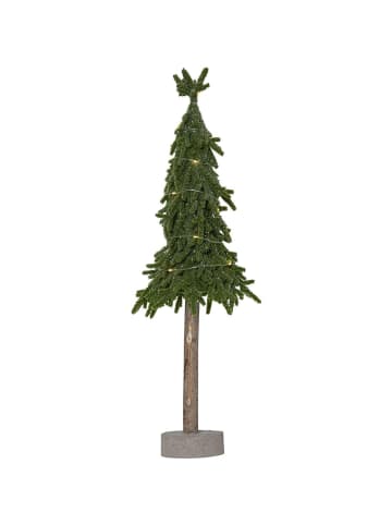STAR Trading Baum Lummer in Grün