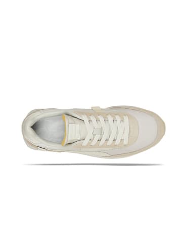 Puma Sneaker PUMA FUTURE Rider Mono in Beige