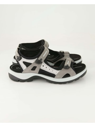 Ecco Sandalen in Grau