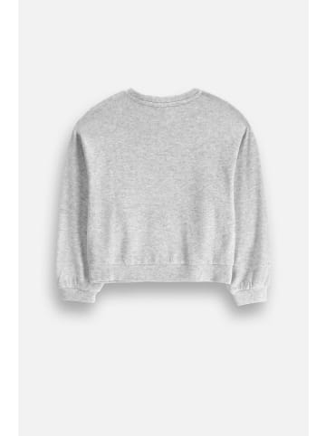 Coccodrillo Strickpullover in grau