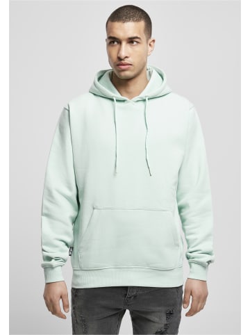  Cayler & Sons Sweat & Fleece - Hoodies in bird's egg green