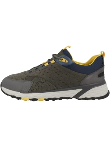 Geox Sneaker low U Sterrata A in gruen