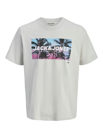 Jack & Jones T-Shirt JJIndiana in hellgrau