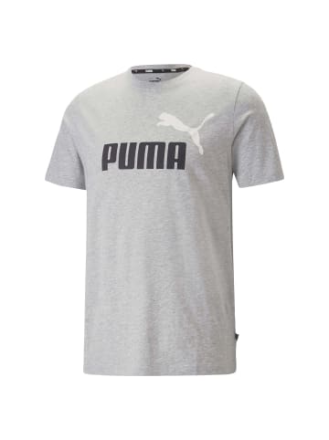 Puma T-Shirt in Hellgrau