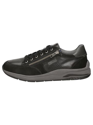 Sioux Sneaker Turibio-702-J in schwarz