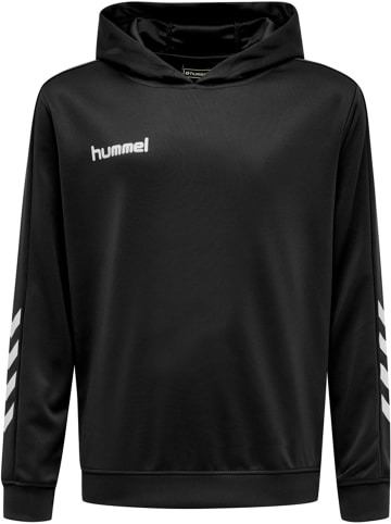 Hummel Hummel Hoodie Hmlpromo Multisport Unisex Kinder in BLACK