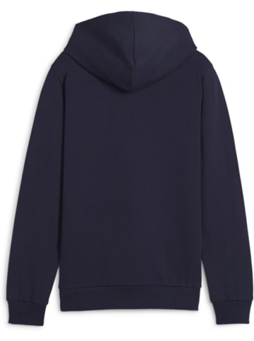 Puma Hoodie "TeamGoal CasuaLongsleeve Hoody Jr" in Blau