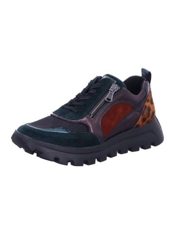 WALDLÄUFER Damen- Schnürschuhe ORDER DILETTA CAMINO BLA. in Grün