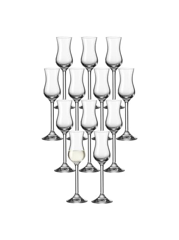 LEONARDO 12er Set Grappaglas Daily 100 ml transparent in transparent