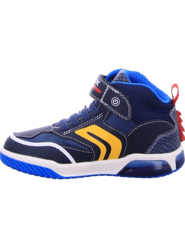 Geox Sneaker in blau