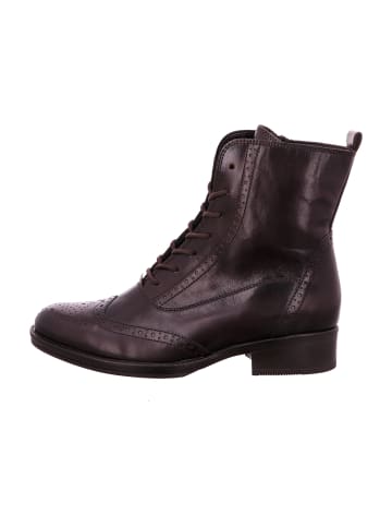 Gabor Schnürstiefeletten in Braun