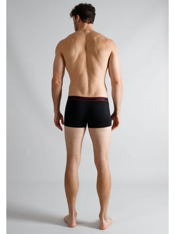 Tom Tailor Hip Pants 2Er Pack Kentucky in rot-dunkel-uni