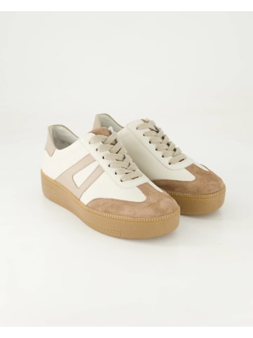 Semler Sneaker low in Beige