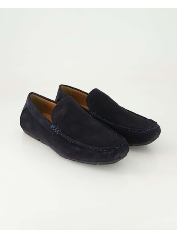 Daniel Kenneth Slipper in Blau