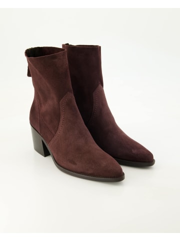 Paul Green Klassische Stiefeletten in Bordeaux