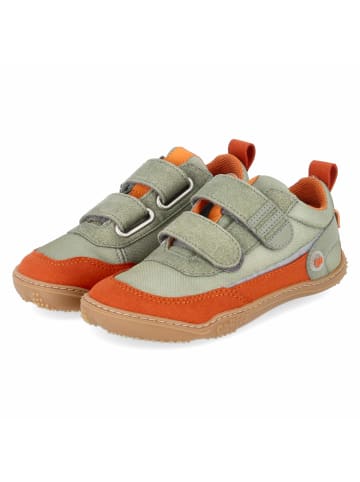 qnuffs Slipper in orange