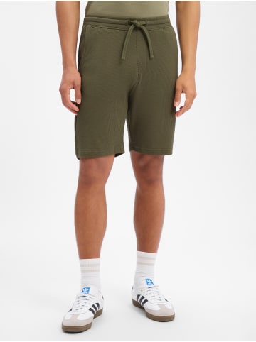 s.Oliver Sweatshorts in oliv