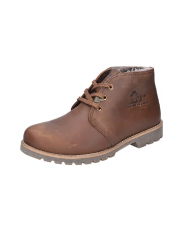PANAMA JACK Winterstiefeletten Bota Panama Igloo in cuero/bark