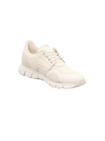 Sioux Sneaker Low in weiß
