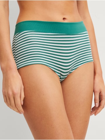 Calida Panty in north sea green