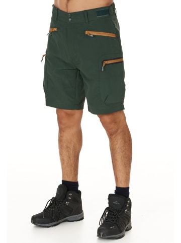 Whistler Shorts Stian in 3053 Deep Forest