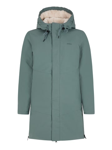 Protest " PRTNANSE in Evergreen