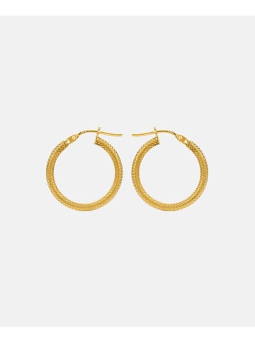 Vanlere Creolen aus 375 Gelbgold