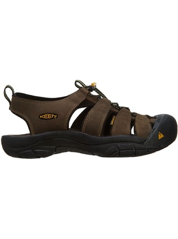 Keen Sandale NEWPORT M in Braun