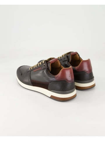 Ambitious Sneaker low in Braun