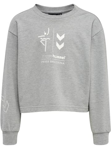 Hummel Hoodie Hmlprima Bee Cropped Sweatshirt in GREY MELANGE