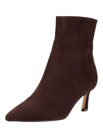 Steve Madden Stiefelette LULAH in Coffee
