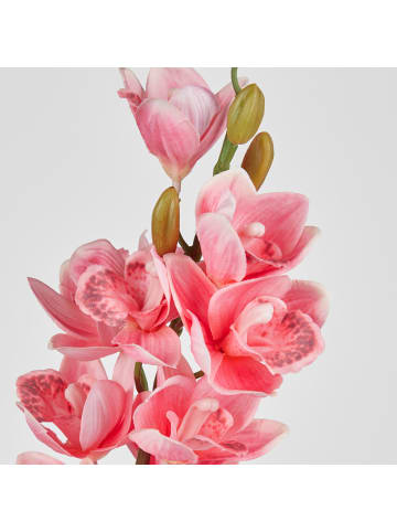 Butlers Kunstblume FORISTA Gladiolen in Pink