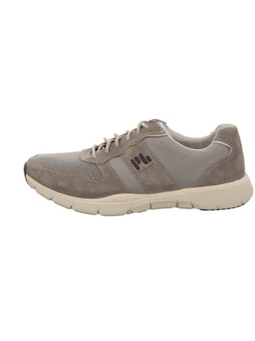 Camel Active Schnürschuhe in grau