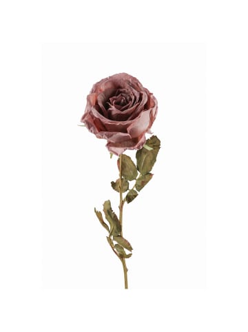 Fink Kunstblume Rose antik mauve - (H) 66 cm
