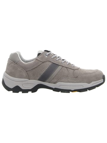 Camel Active Sneaker in grau