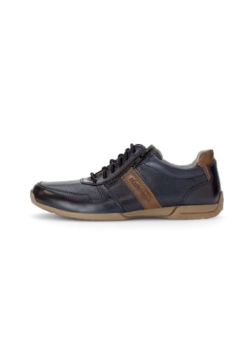 Pius Gabor Sneaker low in blau