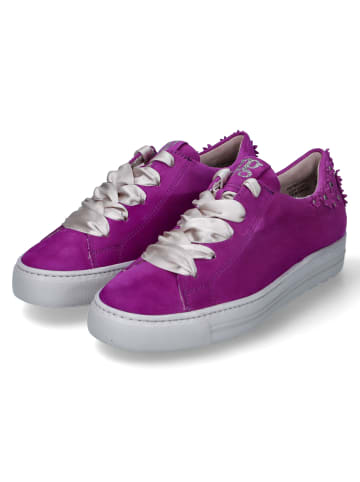 Paul Green Low Sneaker in Violett