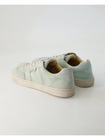 KOEL Barfußschuhe in Grün