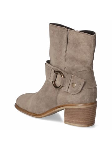 Gabor Stiefeletten in taupe