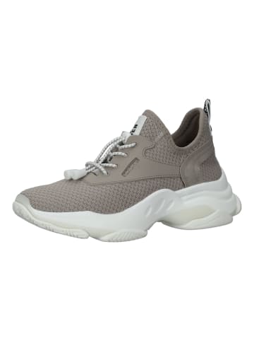 Steve Madden Sneaker in Taupe