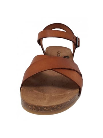 Cosmos Comfort Sandale in Braun