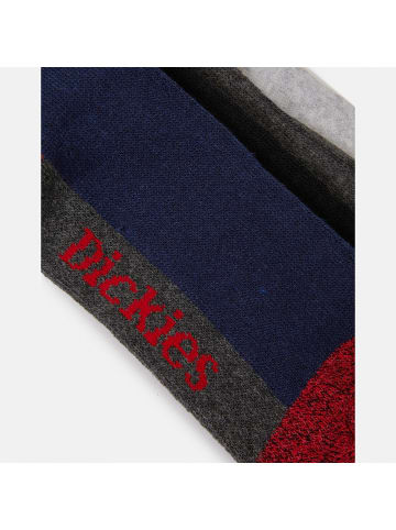 Dickies Socke "Cshn Crw Sock" in Multicolor