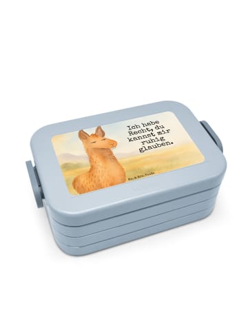 Mr. & Mrs. Panda Lunchbox Lamakopf Genervt Design mit Spruch in Blau Pastell