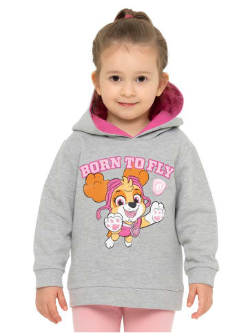 Paw Patrol Paw Patrol Hoodie Kapuzenpullover in grau