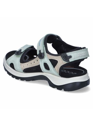 Ecco Outdoorsandalen YUCATAN in Grün