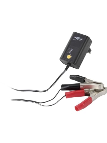 ANSMANN Batterie ALCS 2-12/0.4 in Schwarz