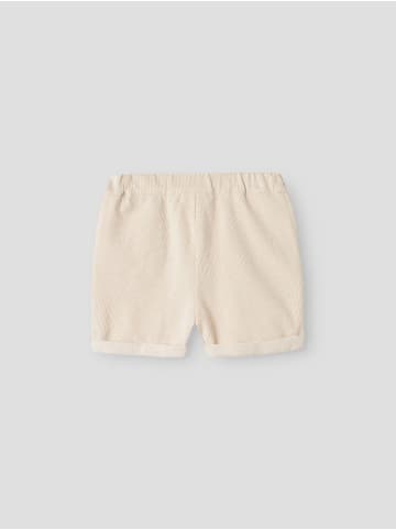 name it Shorts in Irish Cream