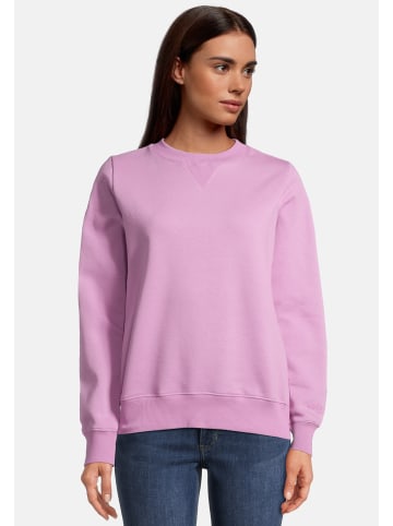 Salzhaut Pullover RABHAHN - UNI in Pale